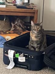 I'm coming with you next time!