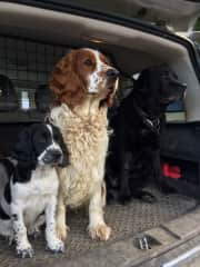Fizz and Alfie