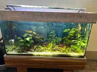Freshwater