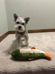 Bella with her trout.