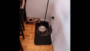 Cat fountain and food area near kitchen door