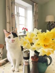 Springtime look