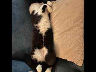 And more lounging