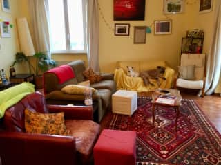 The relaxed sitting room! Complete with doggies (Stella sadly not with us anymore.)
