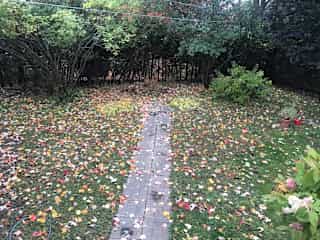 Intimate garden behind the house