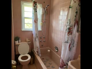 Guest bathroom - we like to call this room the Pink Panther! Agh, the 1950s! Haha!