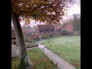 Stable yard