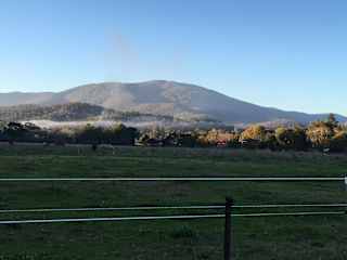 View from rear of home