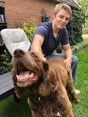 Visiting friends in holland and taking care of Buddy, the happiest dog in the world.