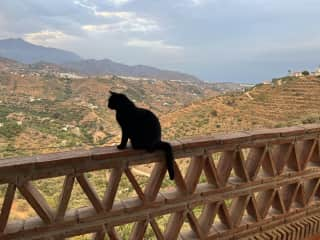 View from the large balcony (and yes, that’s the Mediterranean Sea in the background)