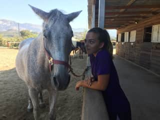 Working as a volunteer in a stable in Greece