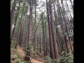 Trails at park in neighborhood