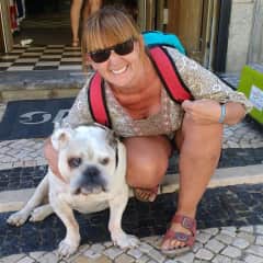 A bulldog in Spain