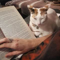 Indira enjoys a good book and cozy blankets.