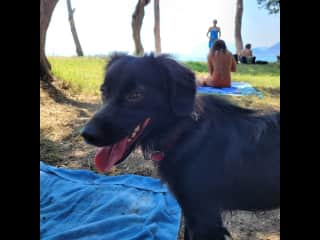 Tula on the local beach