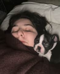 Nala’s morning cuddle after her scary first night home with us, at 8 weeks old!