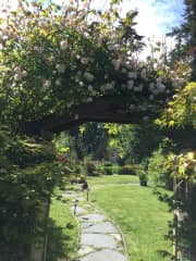 Front yard garden