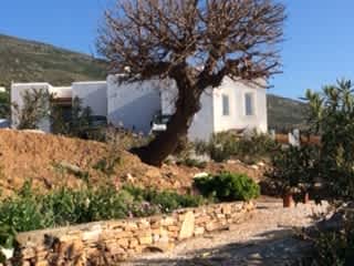 House from Mulberry Tree Terrace