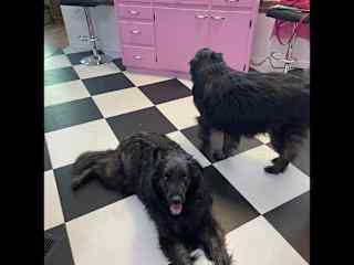 Hanging in the kitchen.