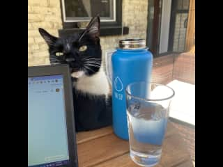 Sometimes he hangs out on the deck with me.