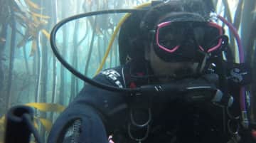 Scuba diving in False Bay