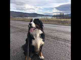 She likes the 5 km walk to the end of our lake and home again.  It's her perfect distance.