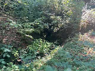 Stream flowing through the property
