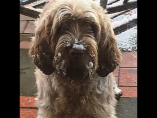 I’m cold!