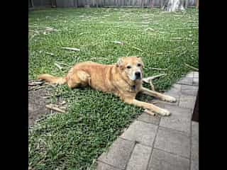 Chilling outside
