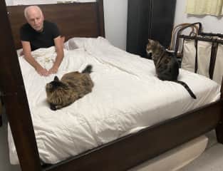 Looks like he is sharing his space again tonight!