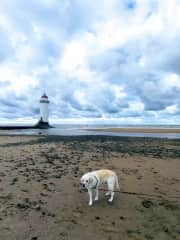 Beach walk 15 minutes away by car at the Point of Ayr Lighthouse