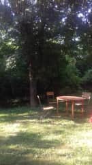 front yard