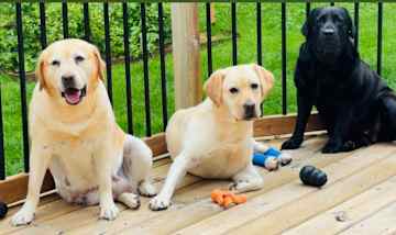 The gang:)