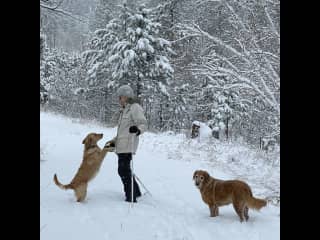 Cross country ski