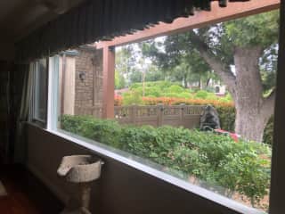 View from Living Room