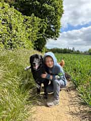 House sit in Kettering (Finn)