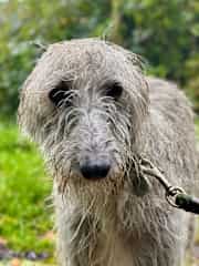 Not sure about the rain !