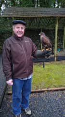 Hawk walk in Ireland for my birthday