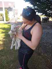 Double little lambs! (Wedderburn, New Zealand)