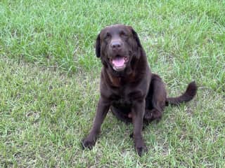 Marley