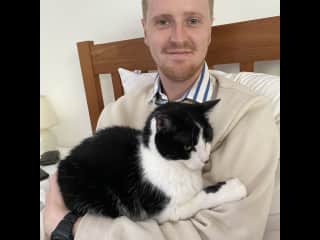 Housesitting 4 kitties in Chester, UK