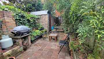 Back yard