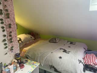 Single bedroom with eves
