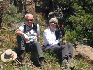 Bob, Pat, Dulce-wildflower hike