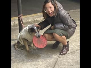 Met him outside a 7 Eleven in Mexico City, gave him lots of love with the permission of his owner, of course.