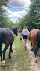 My mom's racing horse rescues!