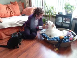 me with pets