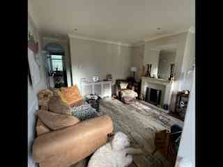 Living room, as you can see the dogs like to relax