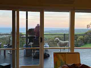 Paul and Bowie BBQing and enjoying the view.