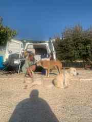 Always making new animal friends, from our Europe trip (Greece)
